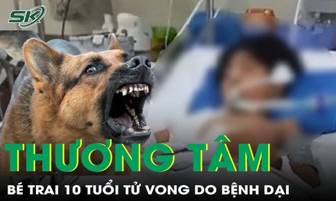 Bé trai 10 tuổi tử vong thương tâm do bệnh dại