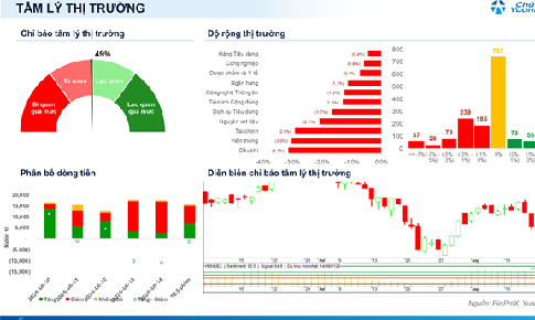 Xu hướng chứng khoán 17/8, nhà đầu tư có thể mua mới cổ phiếu