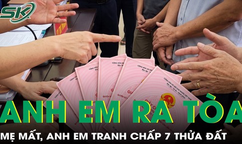 Mẹ mất không di chúc, anh em ra tòa tranh chấp 7 thửa đất hơn 1.700 m²