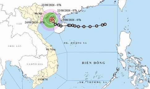 Thủ tướng yêu cầu sẵn sàng ứng phó với áp thấp nhiệt đới