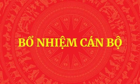 Bổ nhiệm Trợ lý Phó Thủ tướng Hồ Quốc Dũng