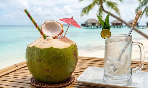 Sốt xuất huyết có nên uống nước dừa? Những điều cần biết khi bù nước