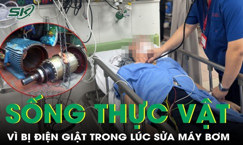 Người đàn ông phải sống thực vật vì bị điện giật trong lúc sửa máy bơm