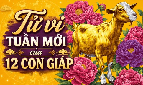 Tử vi tuần mới 12 con giáp 24/8 - 30/8: Dần may mắn, Mùi công việc biến động