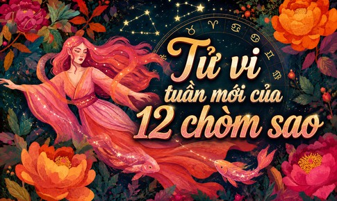 Tử vi tuần mới 12 cung hoàng đạo 24/8 - 30/8: Bọ Cạp lơ là, Song Tử sắc bén