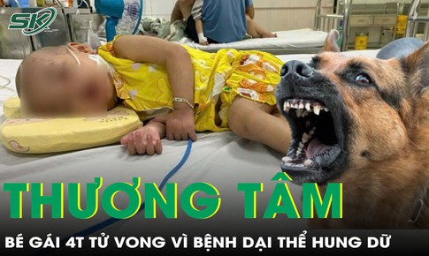 Bé gái 4 tuổi ra đi thương tâm vì bệnh dại thể hung dữ