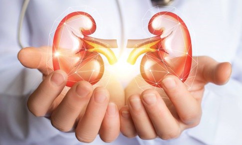7 thói quen giúp bảo vệ thận