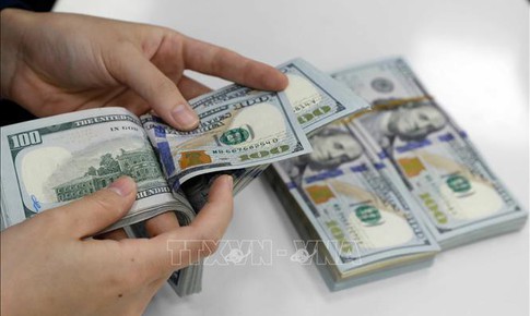 Tỷ giá hôm nay 28/8: Giá USD tiếp tục đi xuống