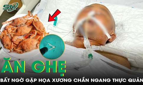 Ăn ghẹ, cụ ông 81 tuổi bất ngờ gặp họa, xương chắn ngang thực quản