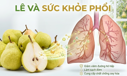 Ăn mấy quả lê mỗi ngày để tốt cho phổi khi thời tiết giao mùa?