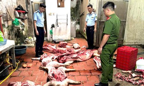 Phát hiện gần 1 tấn thịt lợn nghi nhiễm dịch tả lợn châu Phi