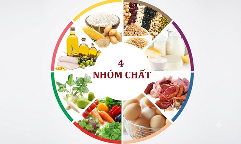 Cách xây dựng thực đơn ăn dặm cân bằng 4 nhóm chất cho trẻ
