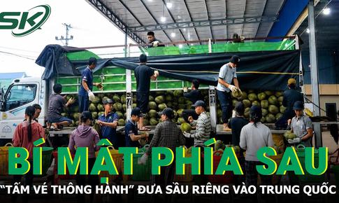 
Bí mật phía sau "tấm vé thông hành" đưa sầu riêng Việt Nam xuất khẩu sang Trung Quốc