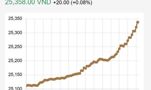 Giá USD 3/8 tăng lên mức 25.358 đồng