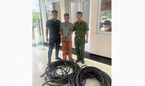 Hà Nội: Giả danh nhân viên điện lực cắt trộm hơn 100m dây cáp đồng