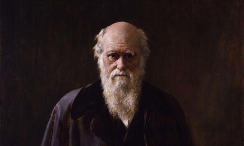 Một dự đoán của Charles Darwin vừa được khoa học xác minh sau hơn 150 năm