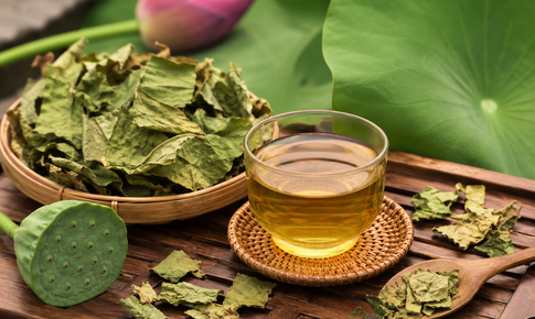 Uống trà lá sen vào thời điểm nào hỗ trợ giảm cân hiệu quả nhất?