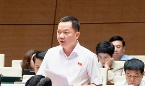 ĐBQH: Cần đưa kinh doanh kim cương vào ngành, nghề đầu tư kinh doanh có điều kiện