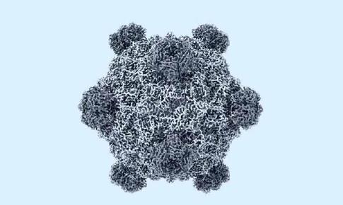 Mỹ tạo 16 loại virus chưa từng có ngoài tự nhiên bằng AI