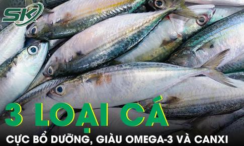 3 loại cá giá rẻ bán đầy chợ Việt nhưng bổ hơn nhiều người tưởng, giàu omega-3 và canxi