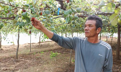 Nhiều người dân phản ánh nguồn nước hồ Sông Biêu có màu xám đục, ảnh hưởng cây trồng, vật nuôi