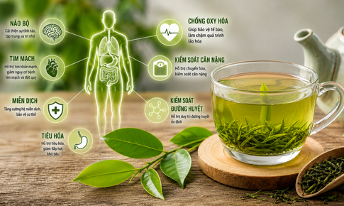 Điều gì xảy ra với cơ thể khi uống trà xanh mỗi ngày?
