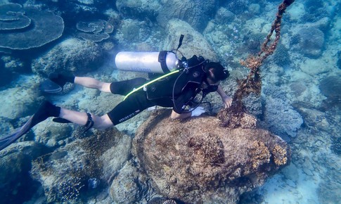 Lặn xuống biển sâu quanh đảo núi lửa cổ tìm gỡ 'lưới ma'