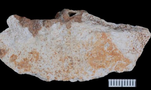 Hóa thạch Denisovan hé lộ cuộc sống bí ẩn của họ hàng loài người