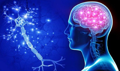 4 yếu tố nguy cơ gây bệnh Alzheimer