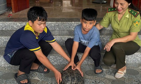 Hai học sinh cứu cá thể rùa quý hiếm nặng 9kg mắc kẹt bên kênh