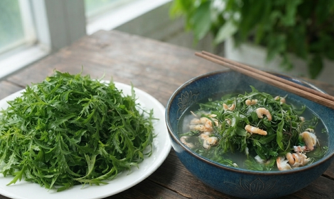 Lá đinh lăng ăn sống hay nấu chín tốt hơn cho sức khỏe?