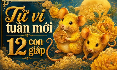Tử vi tuần mới 12 con giáp từ 14/9 - 20/9: Tuất biến động, Thân tài chính cải thiện