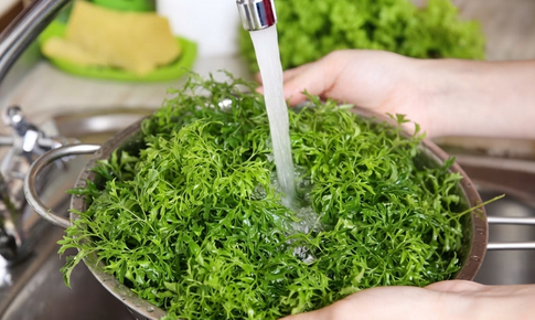 5 nhóm người có thể bổ sung lá đinh lăng vào chế độ ăn