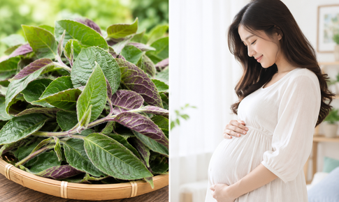 5 nhóm người cần thận trọng khi ăn lá mơ lông