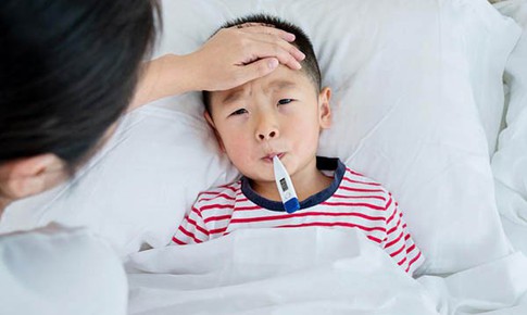 Bù nước đúng cách và ăn uống giúp người bệnh sốt xuất huyết sớm hồi phục