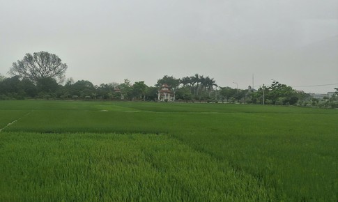 Các mức phạt khi cho thuê đất được nhà nước giao hoặc công nhận sai quy định