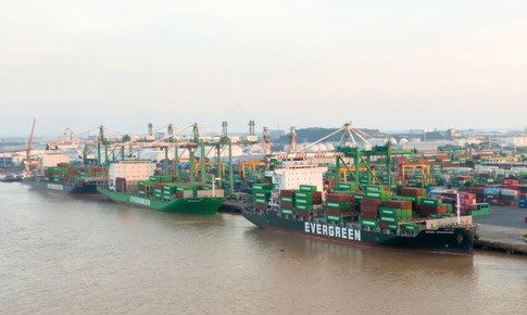 Cổ phiếu VSC được khuyến nghị mua
