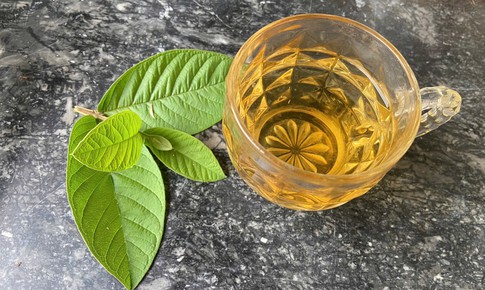 Những công dụng chữa bệnh tuyệt vời từ lá ổi ít người biết
