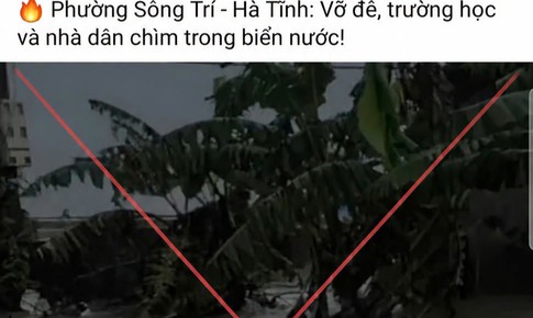 Tin giả trong mùa mưa lũ đặc biệt nguy hiểm, có thể gây chết người