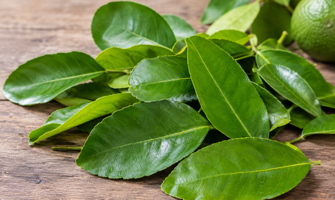 Lá chanh có tác dụng gì?