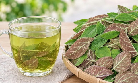 4 sai lầm khi sử dụng lá mơ lông nhiều người mắc phải