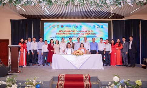 Hợp tác tăng cường truyền thông, điều trị và quản lý tăng huyết áp, đái tháo đường