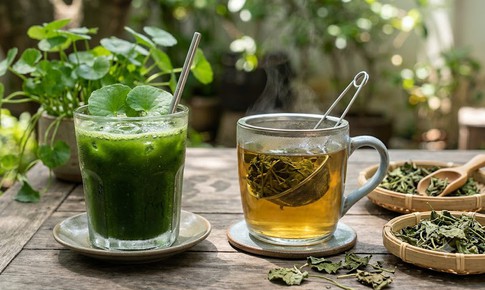 Rau má tươi hay rau má khô: Lựa chọn nào nhiều chất dinh dưỡng hơn?