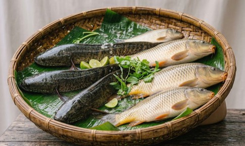 6 mẹo chọn cá tươi ngon và an toàn
