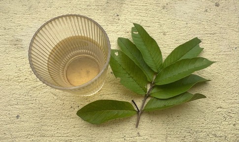 Bí quyết kiểm soát đường huyết tự nhiên nhờ thói quen uống nước lá ổi