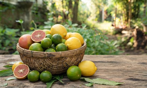 Chanh đào với chanh xanh, chanh vàng: Loại nào tốt hơn?
