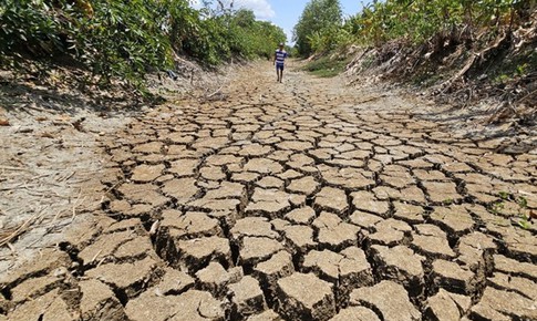 Các kịch bản của El Nino tác động rất mạnh đến nước ta