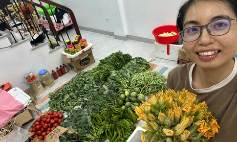 Cử nhân Luật quốc tế bỏ việc văn phòng đi bán rau củ, ngày bán 200 kg