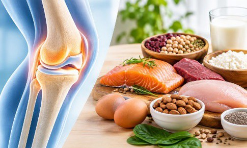 Tại sao chất đạm (protein) lại quan trọng với xương khớp?
