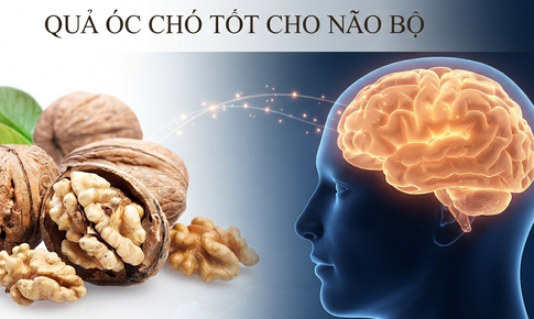 Thời điểm tốt nhất để ăn quả óc chó tốt cho não bộ